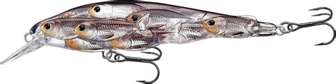 The 10 Best Snook Lures of 2024 - WooFish.com