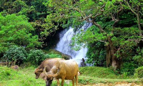 Vietnam's best trekking trails by Lonely Planet