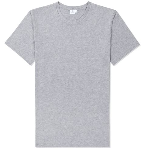 Gray Tshirt Template