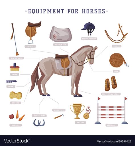 Equipment for horses set horse riding essentials Vector Image