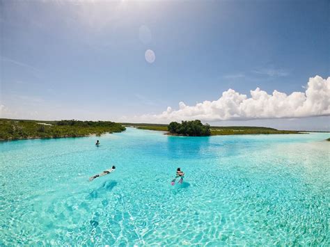 Snorkeling in Exumas Bahamas | Scuba diving, Exuma, Diving