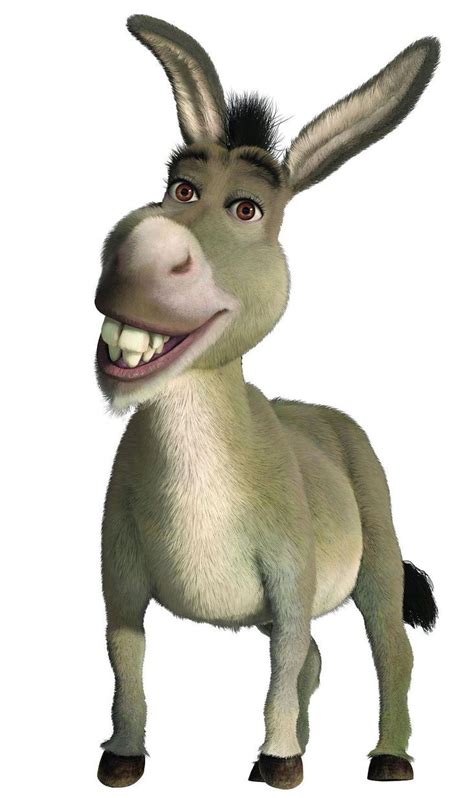 Donkey1.jpg | Shrek donkey, Shrek character, Shrek