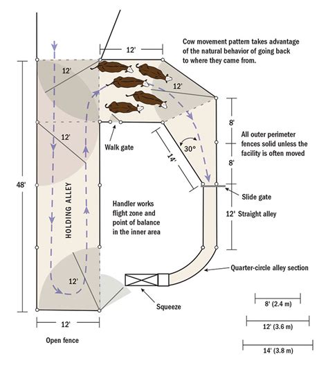 Create an Easy-to-Build Cattle Corral for Your Herd - Hobby Farms