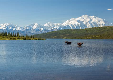 Visit Denali National Park on a trip to Alaska | Audley Travel UK