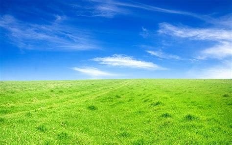 HD wallpaper: green, grass, Blue, sky | Wallpaper Flare