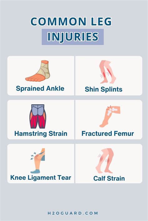 Understanding Leg Injuries: Types and Definitions in 2023 | Leg injury ...