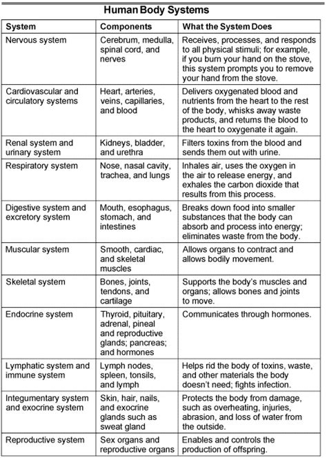 Understanding Human Body Systems - dummies