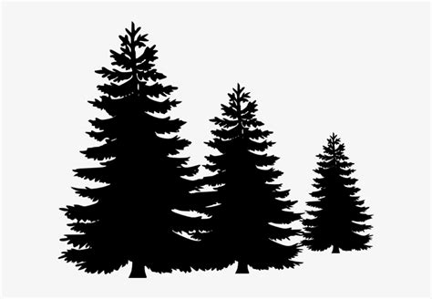 Download Vector Clipart Pine Tree - Pine Tree Vector Png | Transparent ...