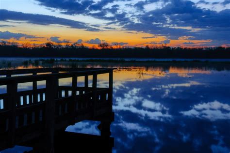 Brazos Bend State Park: See George Observatory, Wetlands & Alligators