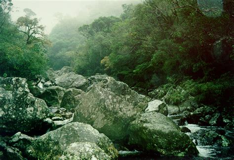 Serra Geral National Park, Brazil (with Map & Photos)