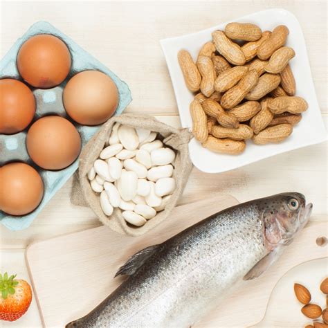 Food Allergies Can Result When A Protein In The Diet - Diet Poin