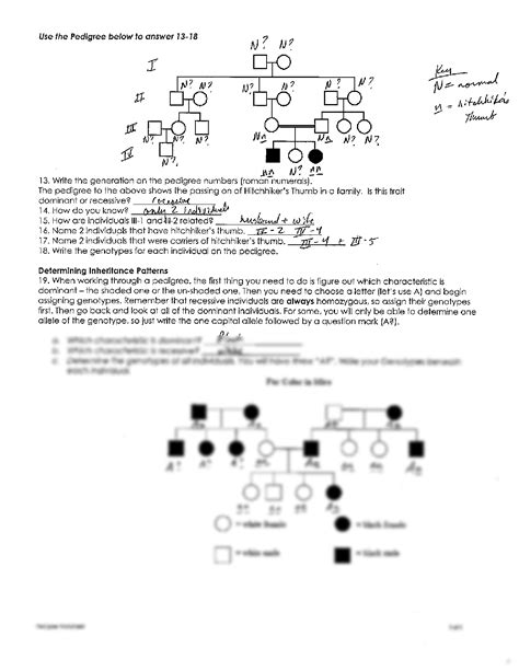 SOLUTION: Pedigree Worksheet (Lab Notebook) Key - Studypool