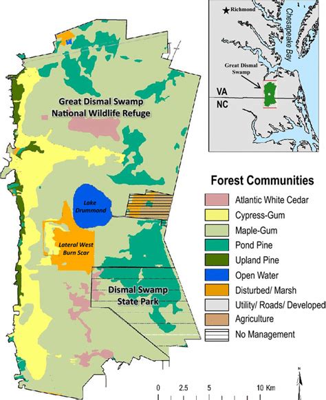 Great Dismal Swamp Wildfire