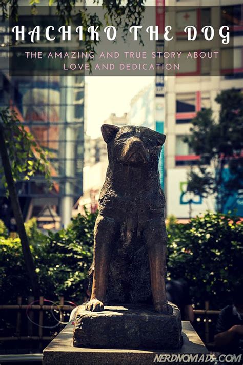 The Amazing And True Story Of Hachiko The Dog