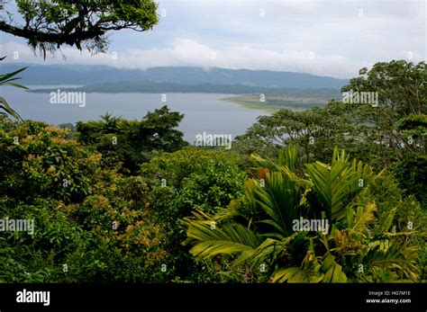 Eco Tours Costa Rica Stock Photo - Alamy