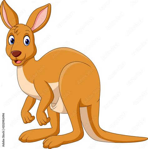 Cartoon funny Kangaroo isolated on white background Stock Vector ...