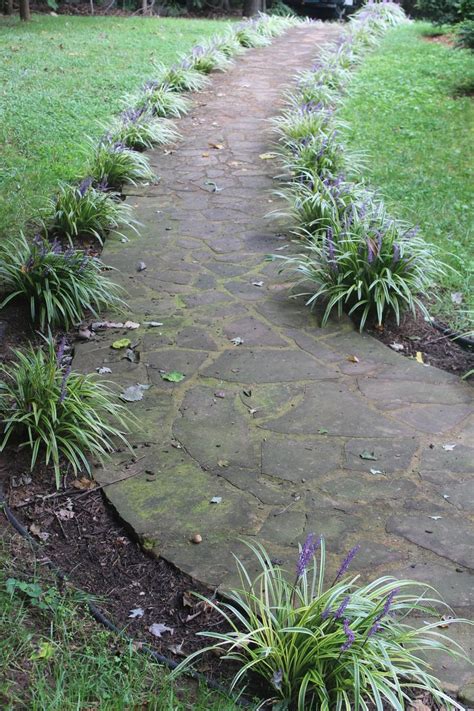 Monkey grass border | Sidewalk landscaping, Grasses landscaping ...