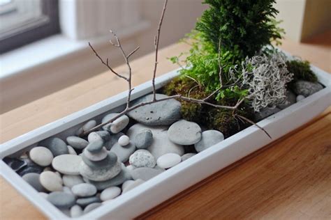 How To Make Your Own Mini Zen Garden From Scratch