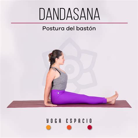 14+ Dandasana Picture | Yoga Poses