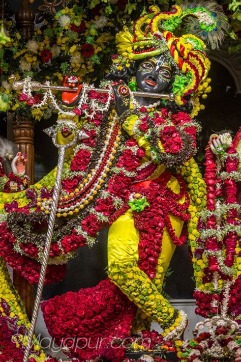 Sri Radha-Madhava flower outfits darshan! | Mayapur.com