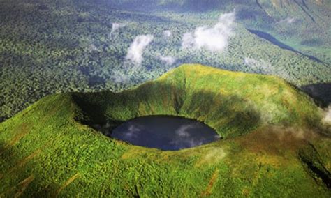 6 days Rwanda Volcanoes national park safari | Rwanda Wildlife Safaris