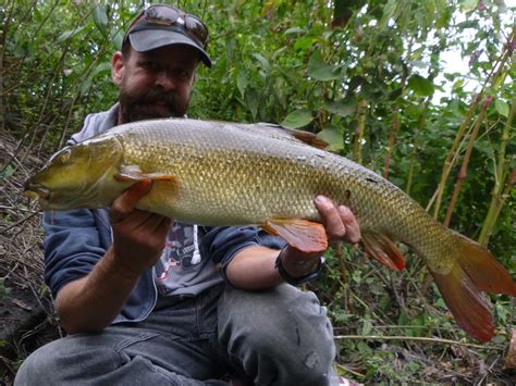 Pike Blog: Quick Barbel Report (68)