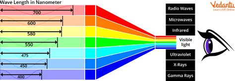 Light Spectrum | Experiment on Light Spectrum in the Classroom