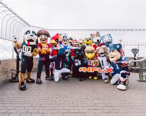 NFL Mascots hanging out! | Football memes, New orleans saints, Mascot