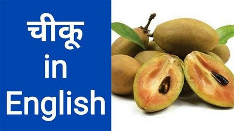 चीकू in English / Chiku ko english me kya kahate hain / chiku in ...