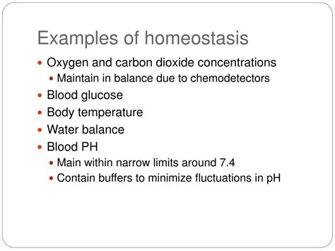 PPT - Homeostasis and excretion PowerPoint Presentation, free download ...