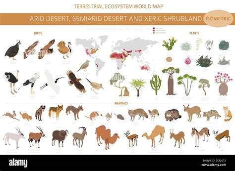 Desert biome, xeric shrubland biome, natural region infographic ...