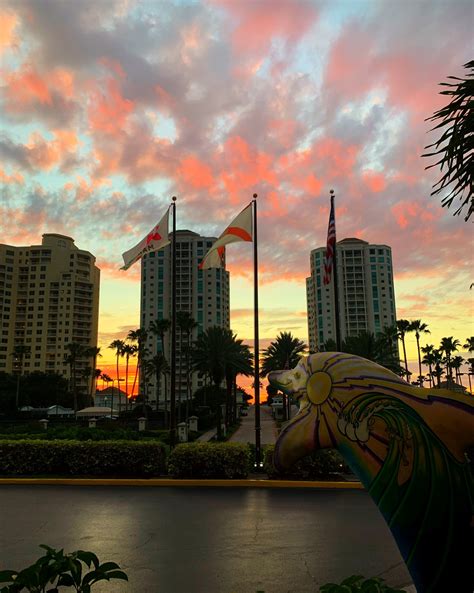 Clearwater Beach Marriott Suites on Sand Key - Home | Facebook