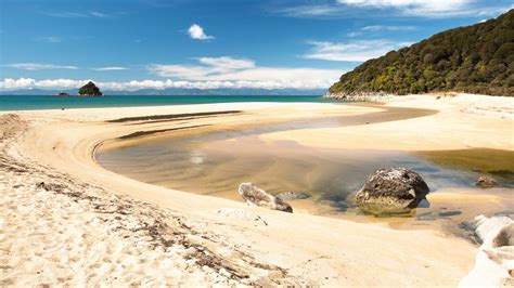 Abel Tasman National Park: Places to go in Nelson/Tasman