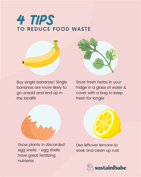 4 Eco-Friendly Tips to Reduce Food Waste — Sustainibabe