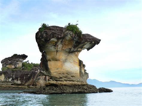 7 National Parks To Visit Besides Taman Negara | TallyPress