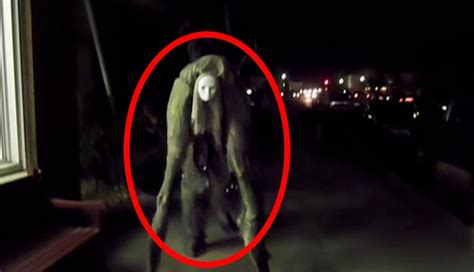 5 Scariest Creatures Caught on Camera & Spotted in Real Life! | Simply ...