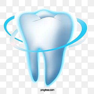 Teeth PNG Transparent Images Free Download | Vector Files | Pngtree