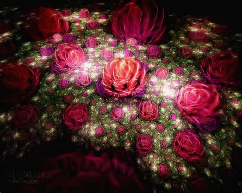 Field of Roses Wallpaper - WallpaperSafari