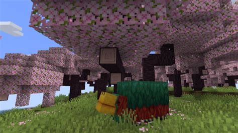 Mojang announces new Cherry Blossom Biome coming to Minecraft with 1.20 ...