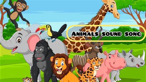 Animals sound song | sound of animals song for kids | cartoons for kids ...