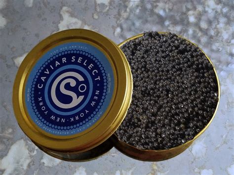 CALIFORNIA WHITE STURGEON – Caviar Select