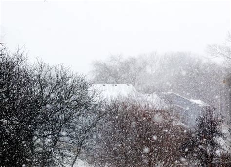 Snow Falling on Trees and House Stock Photo - Image of blizzard, roof ...