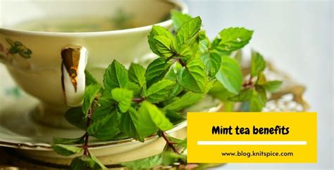 Mint tea benefits that will make you love it - Knitspice