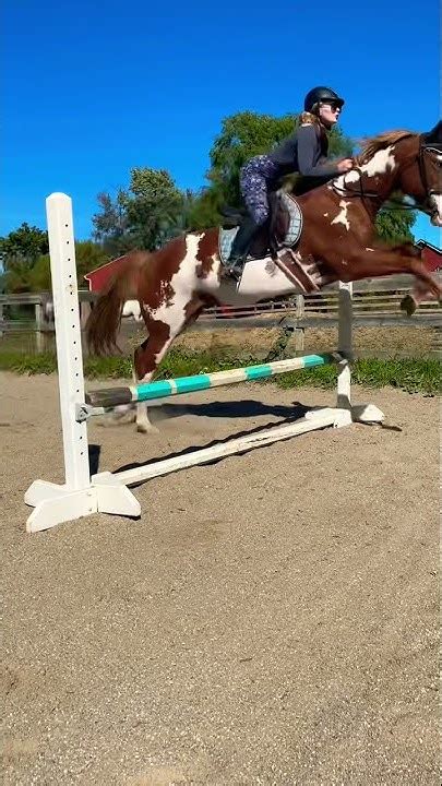 Jumping My Paint Horse|First Time Over 2ft - YouTube