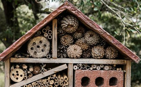 How to Make a DIY Insect Hotel : an easy backyard project · Nourish and ...