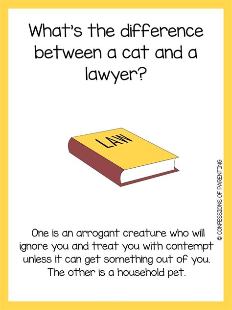 165 Best Lawyer Jokes No One Will Object To