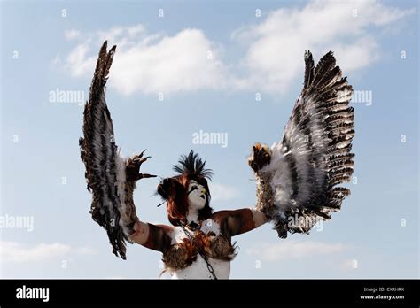 Cosplayer dressed as a bird of prey, waving with their wings, Japan Day ...