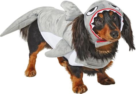 Out of Stock - FRISCO Shark Attack Dog & Cat Costume, Large - Chewy.com