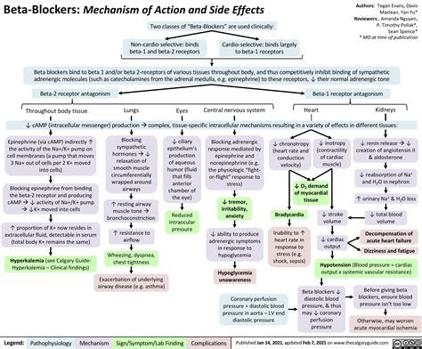 Beta Blockers: Mechanism of Action and Side Effects | Calgary Guide