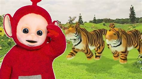 Special Animals compilation - 3 Hours of Teletubbies - Including the ...